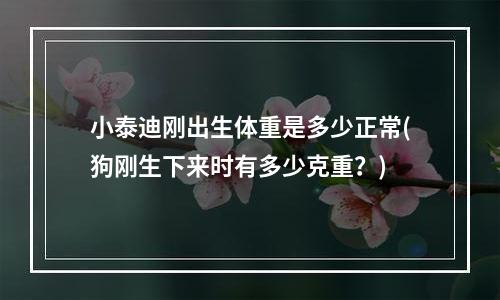 小泰迪刚出生体重是多少正常(狗刚生下来时有多少克重？)