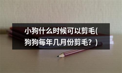 小狗什么时候可以剪毛(狗狗每年几月份剪毛？)