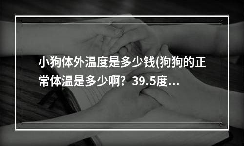 小狗体外温度是多少钱(狗狗的正常体温是多少啊？39.5度属于低烧吧？9个月大)