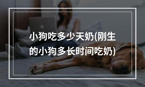 小狗吃多少天奶(刚生的小狗多长时间吃奶)