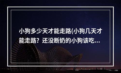 小狗多少天才能走路(小狗几天才能走路？还没断奶的小狗该吃什么？)