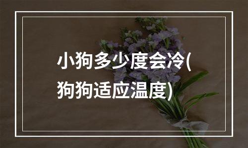 小狗多少度会冷(狗狗适应温度)