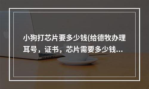 小狗打芯片要多少钱(给德牧办理耳号，证书，芯片需要多少钱，在什么地方办，多大的时候办理呢。求解。谢谢各位了。)