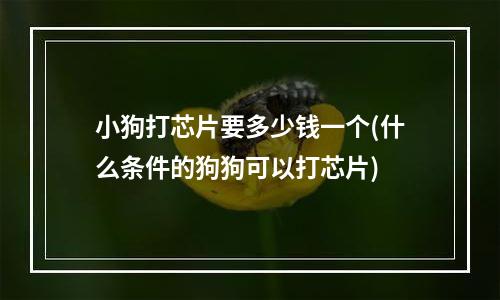 小狗打芯片要多少钱一个(什么条件的狗狗可以打芯片)