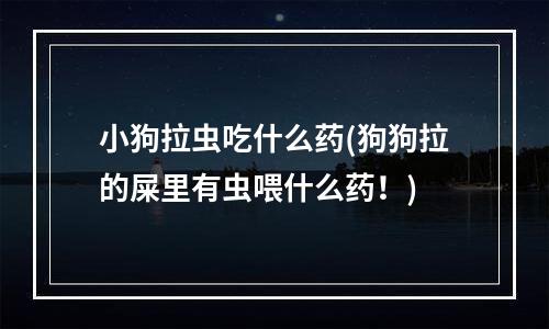 小狗拉虫吃什么药(狗狗拉的屎里有虫喂什么药！)