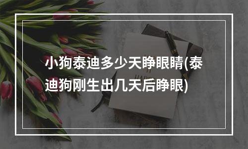 小狗泰迪多少天睁眼睛(泰迪狗刚生出几天后睁眼)