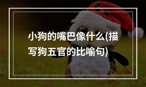 小狗的嘴巴像什么(描写狗五官的比喻句)