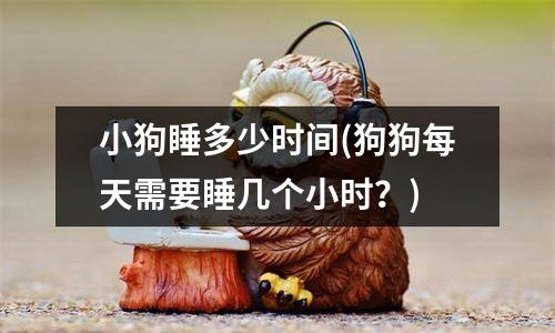 小狗睡多少时间(狗狗每天需要睡几个小时？)