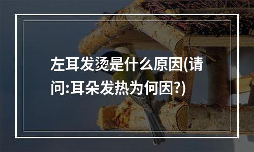 左耳发烫是什么原因(请问:耳朵发热为何因?)