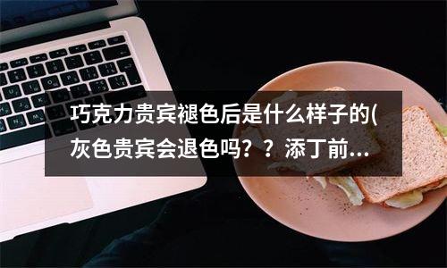 巧克力贵宾褪色后是什么样子的(灰色贵宾会退色吗？？添丁前的疑问)