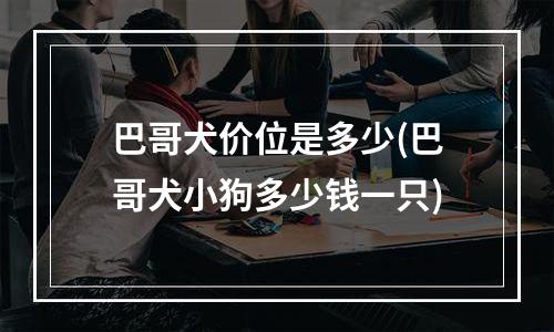 巴哥犬价位是多少(巴哥犬小狗多少钱一只)