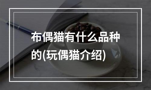 布偶猫有什么品种的(玩偶猫介绍)