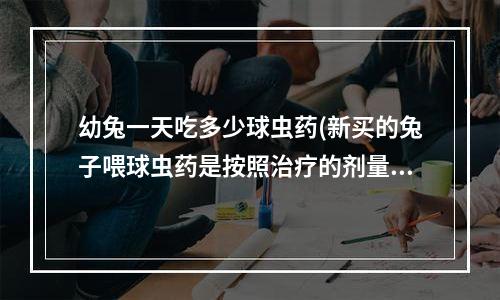 幼兔一天吃多少球虫药(新买的兔子喂球虫药是按照治疗的剂量还是预防的剂量呢？)