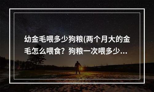 幼金毛喂多少狗粮(两个月大的金毛怎么喂食？狗粮一次喂多少粒？)