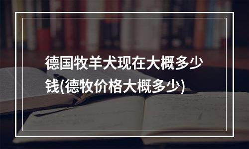 德国牧羊犬现在大概多少钱(德牧价格大概多少)