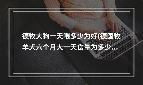 德牧大狗一天喂多少为好(德国牧羊犬六个月大一天食量为多少最佳？)