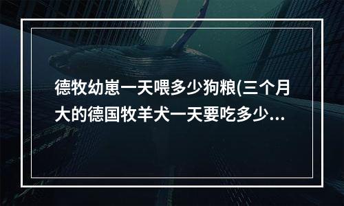 德牧幼崽一天喂多少狗粮(三个月大的德国牧羊犬一天要吃多少克狗粮)