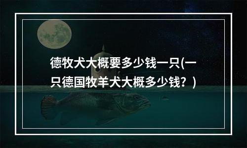 德牧犬大概要多少钱一只(一只德国牧羊犬大概多少钱？)