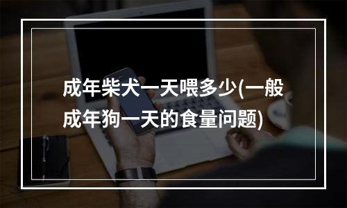 成年柴犬一天喂多少(一般成年狗一天的食量问题)