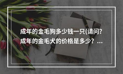 成年的金毛狗多少钱一只(请问？成年的金毛犬的价格是多少？)