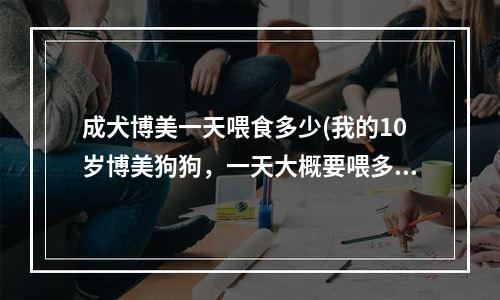 成犬博美一天喂食多少(我的10岁博美狗狗，一天大概要喂多少顿狗粮给它吃呢？一顿又大概是多少克呢？它胃口不大)