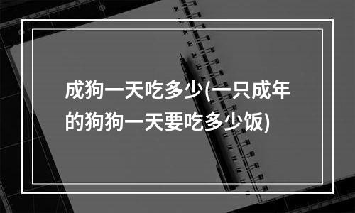 成狗一天吃多少(一只成年的狗狗一天要吃多少饭)