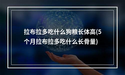 拉布拉多吃什么狗粮长体高(5个月拉布拉多吃什么长骨量)