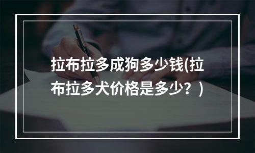 拉布拉多成狗多少钱(拉布拉多犬价格是多少？)