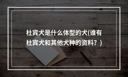 杜宾犬是什么体型的犬(谁有杜宾犬和其他犬种的资料？)