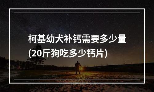 柯基幼犬补钙需要多少量(20斤狗吃多少钙片)