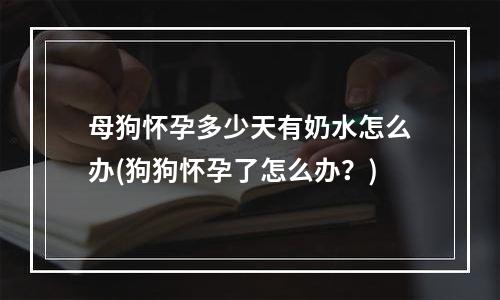 母狗怀孕多少天有奶水怎么办(狗狗怀孕了怎么办？)