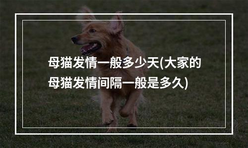 母猫发情一般多少天(大家的母猫发情间隔一般是多久)