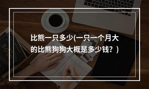 比熊一只多少(一只一个月大的比熊狗狗大概是多少钱？)