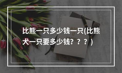 比熊一只多少钱一只(比熊犬一只要多少钱？？？)