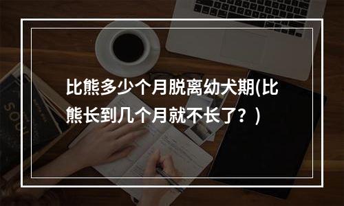 比熊多少个月脱离幼犬期(比熊长到几个月就不长了？)