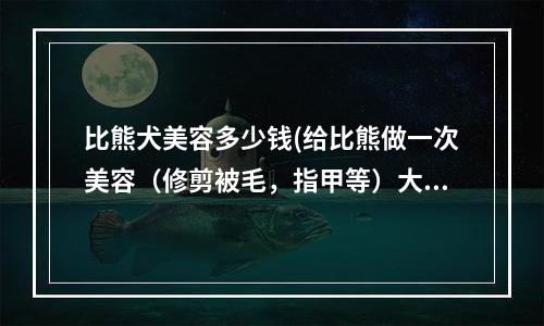 比熊犬美容多少钱(给比熊做一次美容（修剪被毛，指甲等）大概需要多少钱)