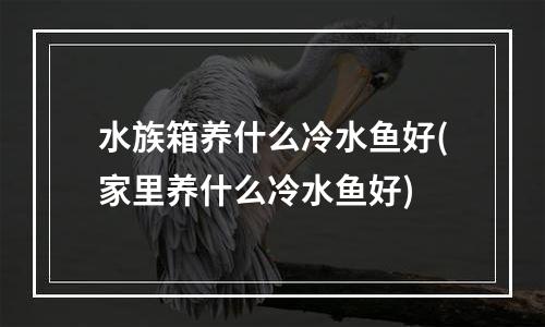 水族箱养什么冷水鱼好(家里养什么冷水鱼好)