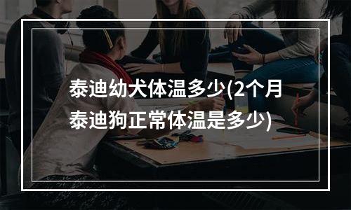 泰迪幼犬体温多少(2个月泰迪狗正常体温是多少)