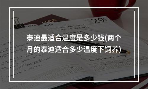 泰迪最适合温度是多少钱(两个月的泰迪适合多少温度下饲养)