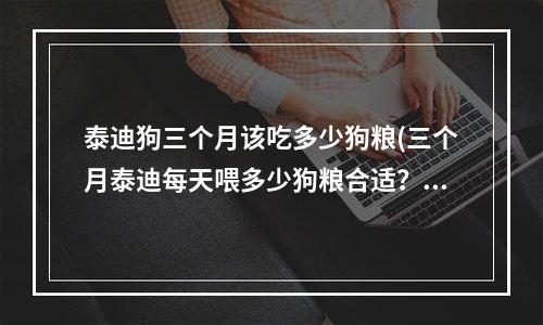 泰迪狗三个月该吃多少狗粮(三个月泰迪每天喂多少狗粮合适？)