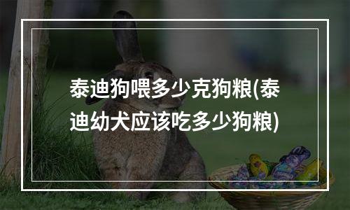 泰迪狗喂多少克狗粮(泰迪幼犬应该吃多少狗粮)