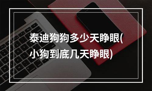 泰迪狗狗多少天睁眼(小狗到底几天睁眼)