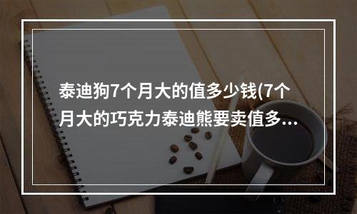 泰迪狗7个月大的值多少钱(7个月大的巧克力泰迪熊要卖值多少钱)