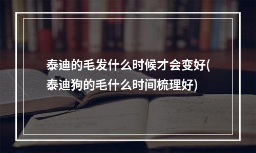 泰迪的毛发什么时候才会变好(泰迪狗的毛什么时间梳理好)