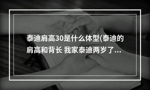 泰迪肩高30是什么体型(泰迪的肩高和背长 我家泰迪两岁了，肩高30，背长30，腰围(还是胸围，反正就是身上最胖的地方的一圈)40，)