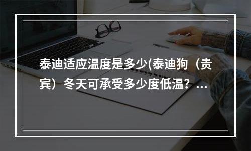 泰迪适应温度是多少(泰迪狗（贵宾）冬天可承受多少度低温？)