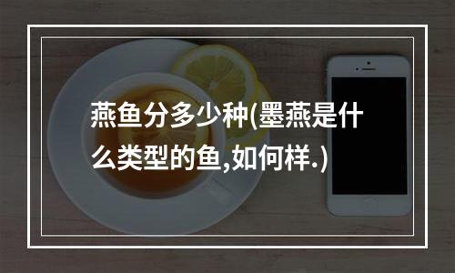 燕鱼分多少种(墨燕是什么类型的鱼,如何样.)