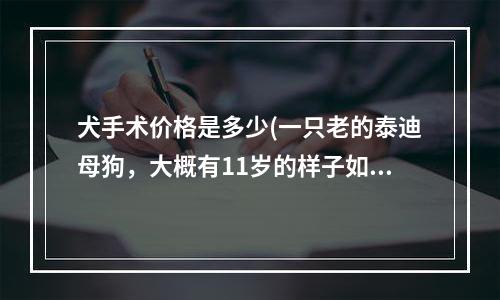 犬手术价格是多少(一只老的泰迪母狗，大概有11岁的样子如果做做腹沟疝气手术，大概需要多少费用？)