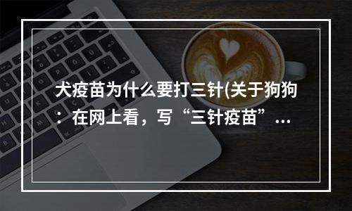 犬疫苗为什么要打三针(关于狗狗：在网上看，写“三针疫苗”是什么意思？)