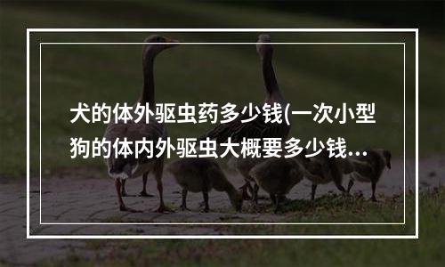 犬的体外驱虫药多少钱(一次小型狗的体内外驱虫大概要多少钱，准确一点！)